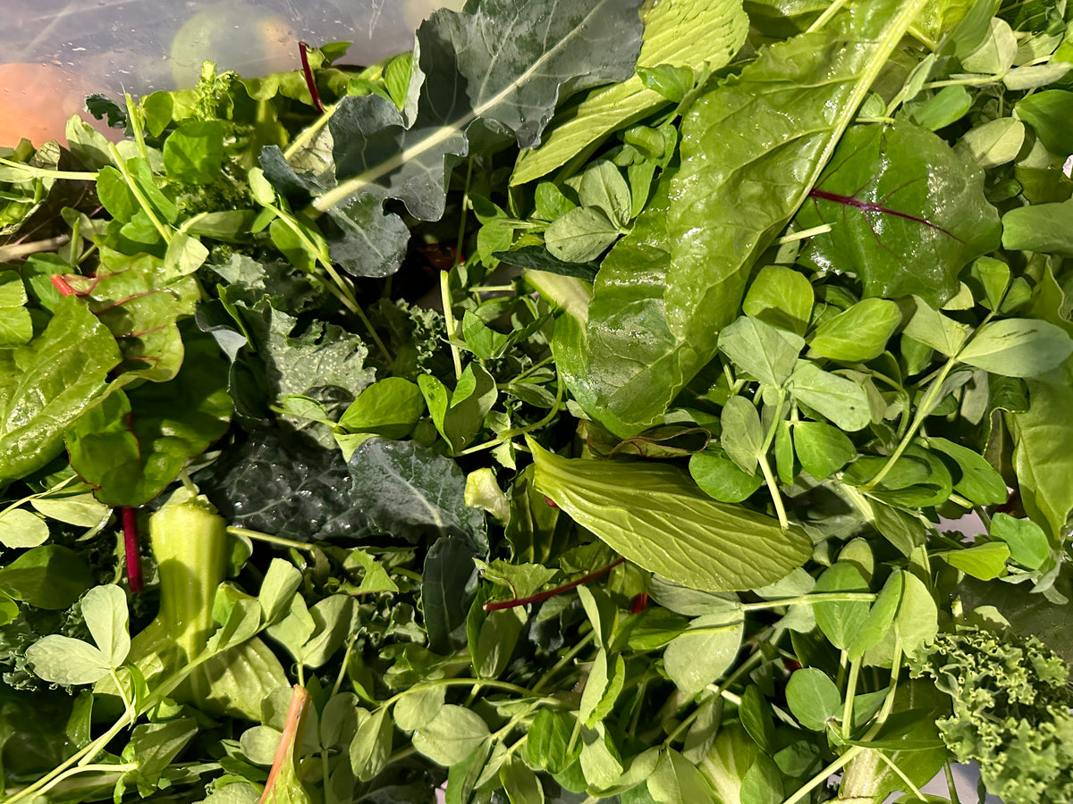 Stirfry leafy greens mix 180gm Six Acres Farm