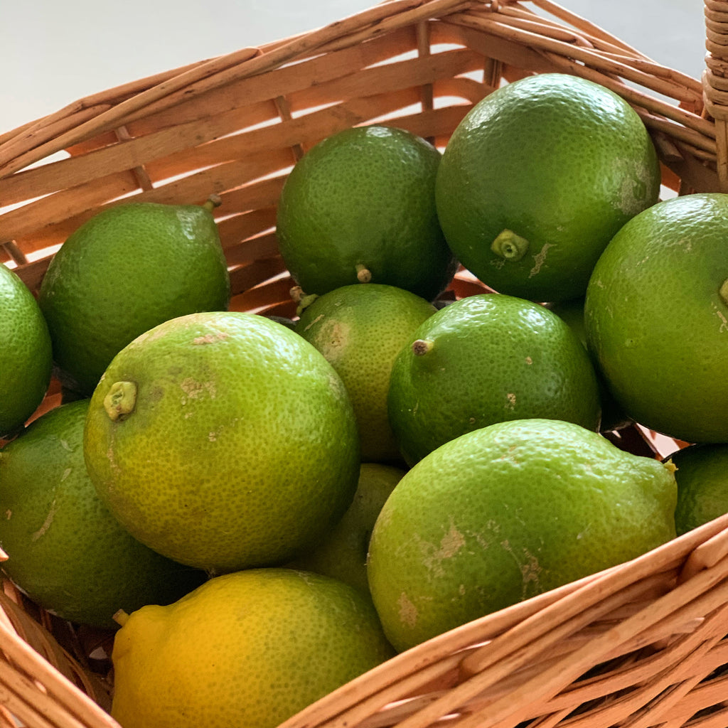 Citrus - Limes now in season!